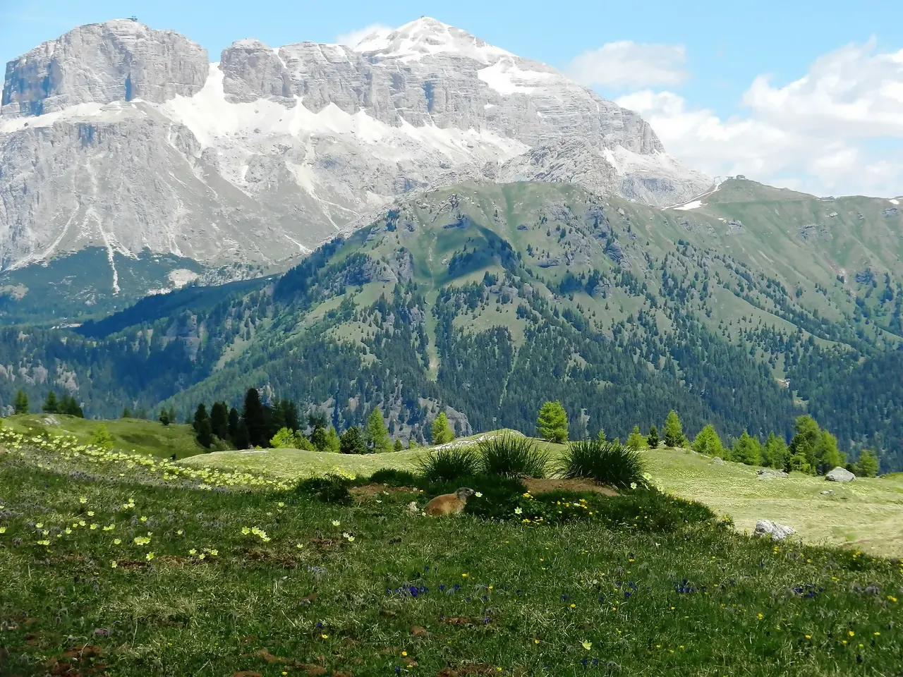 Panorama de montagne dans le Val di Fassa
