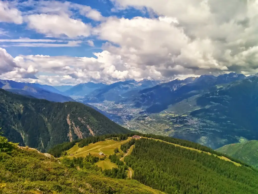 Aprica